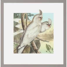 Camelot Tropical Perchers II Framed Print Camelot Tropical Perchers II Framed Print