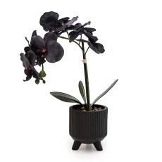 Candlelight Faux Black Orchid in Matte Black Ceramic Footed Pot Candlelight Faux Black Orchid in Matte Black Ceramic Footed Pot