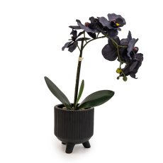 Candlelight Faux Black Orchid in Matte Black Ceramic Footed Pot