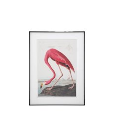 Gallery Wading Flamingo Framed Art Gallery Wading Flamingo Framed Art