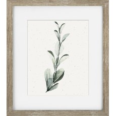 Camelot Soft Botanicals I