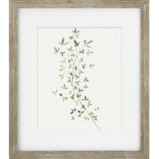 Camelot Soft Botanicals III