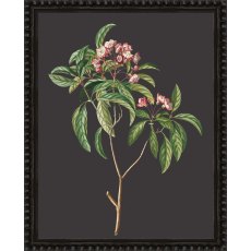 Camelot Botanicals on Black I Camelot Botanicals on Black I