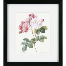 Camelot Vintage Florals I