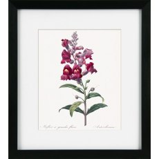 Camelot Vintage Florals II