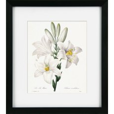 Camelot Vintage Florals VIII