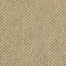 Kirkmond Wool Loop Carpet in Halite