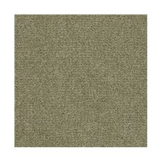 Westend Velvet Carpet in Asparagus Westend Velvet Carpet in Asparagus