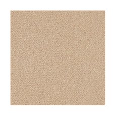 Westend Velvet Carpet in Barley