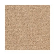 Westend Velvet Carpet in Champagne