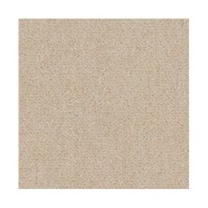 Westend Velvet Carpet in Magnolia Westend Velvet Carpet in Magnolia