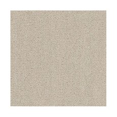 Westend Velvet Carpet in Mushroom Westend Velvet Carpet in Mushroom