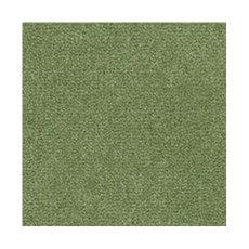 Westend Velvet Carpet in Reseda Westend Velvet Carpet in Reseda