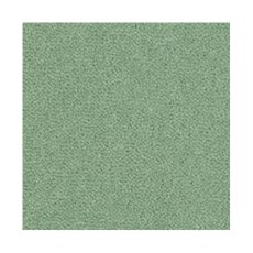 Westend Velvet Carpet in Tarragon Westend Velvet Carpet in Tarragon