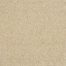 Hidden Depths Carpet in Honeydew Hidden Depths Carpet in Honeydew