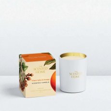 The Scented Home Winter Spice & Orange Candle