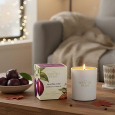 The Scented Home Velvet Plum & Oud Candle