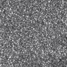 Accra Carpet in Feather Grey Accra Carpet in Feather Grey