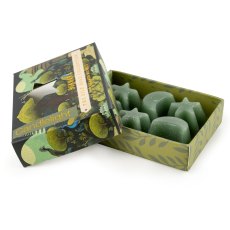 Candlelight Bukhara Moon and Star Wax Melts Candlelight Bukhara Moon and Star Wax Melts