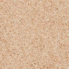 Radbourne Carpet in Meissa