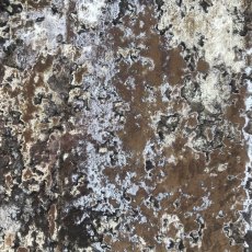 Style Furnishings Made to Measure Curtains Luxe - Argent Style Furnishings Made to Measure Curtains Luxe - Argent