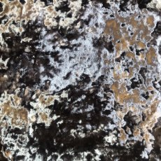 Style Furnishings Made to Measure Curtains Luxe - Plumb