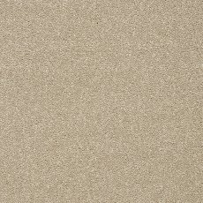 Stainfree Twist Carpet in Dark Ecru