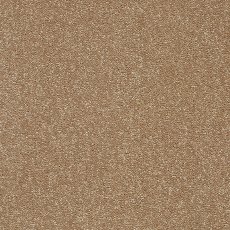 Stainfree Twist Carpet in Mocha Stainfree Twist Carpet in Mocha