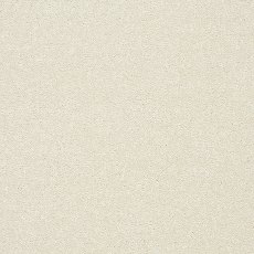 Stainfree Twist Carpet in Pearl Stainfree Twist Carpet in Pearl