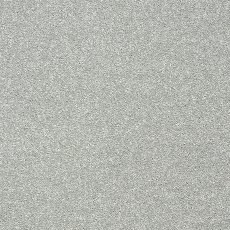 Stainfree Twist Carpet in Smoke