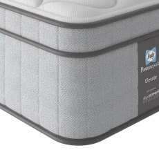 Sealy Elevate Nelson Mattress