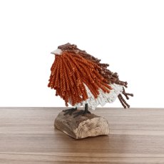 Aquarelle Home Rory Robin Aquarelle Home Rory Robin