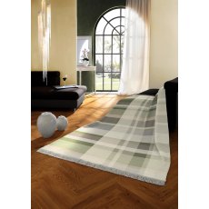 Biederlack Panel Check Green Throw Biederlack Panel Check Green Throw