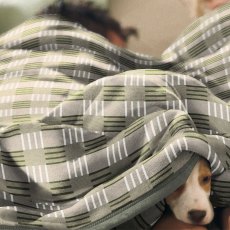 Biederlack Block Check Green Throw