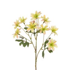 Floralsilk Balkan Anemone