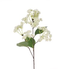 Floralsilk Rice Flower Spray White