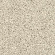 Incredible Chic Carpet in Cotton