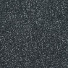 Incredible Chic Carpet in Ebony