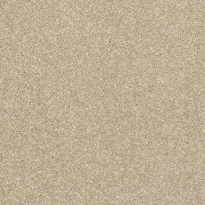 Incredible Chic Carpet in Latte