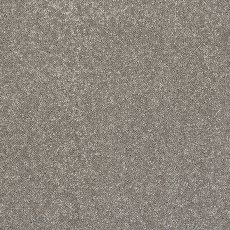 Incredible Chic Carpet in Mocha