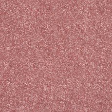 Incredible Chic Carpet in Pink Whisper