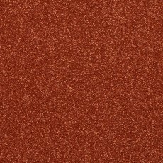 Incredible Chic Carpet in Terracotta