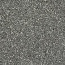 Incredible Chic Carpet in Titanium