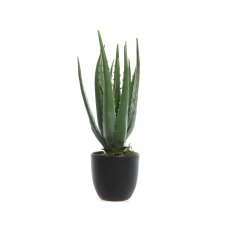 Kaemingk Faux Potted Aloe Vera