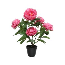 Kaemingk Potted Peony Rose Kaemingk Potted Peony Rose
