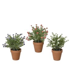 Kaemingk Potted Babysbreath