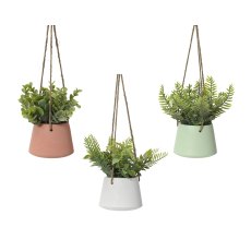 Kaemingk Hanging Plant in a Pot