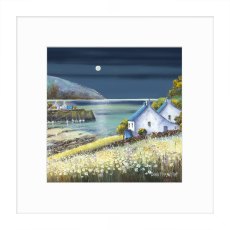 Artko Harbour Light Framed Print