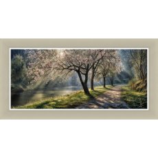 Artko Whispers of a New Day Framed Print