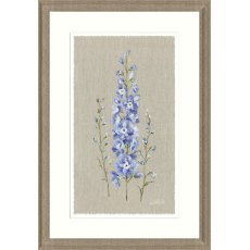 Artko Delphiniums Framed Print